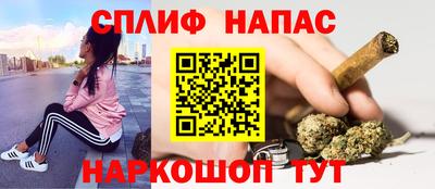 крисы Донской