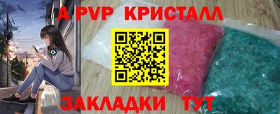 крисы Донской