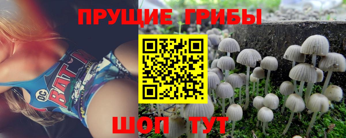 Конопля  Лсд 25  АМФ   ГАШ  А ПВП СК кристаллы  МЕФ кристаллы  Балтийск  ГАШ  Купить наркоту  ЭКСТАЗИ  Вход с VPN  НБОМе 