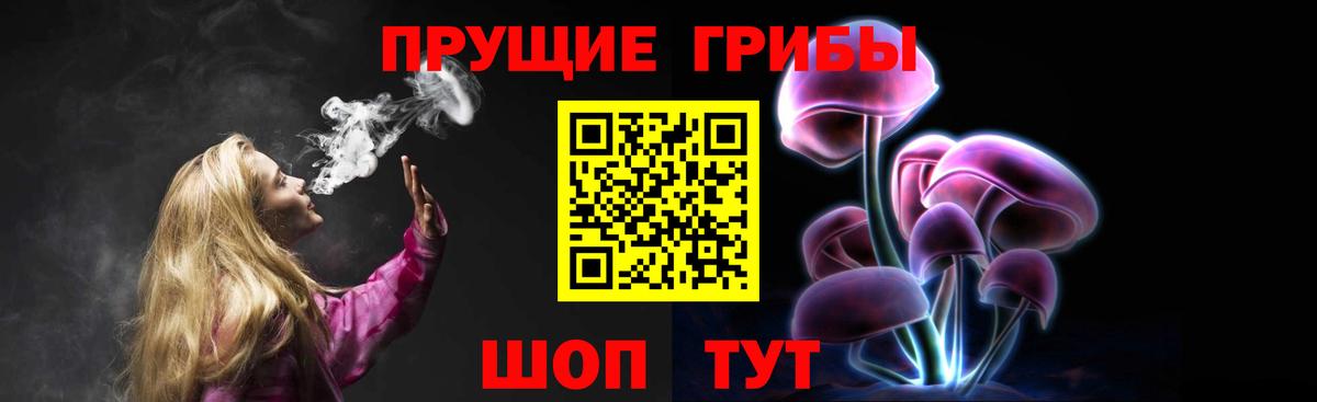 Псилоцибиновые грибы прущие грибы  как найти наркотики  Вход с VPN  Балтийск  Псилоцибиновые грибы ЛСД 