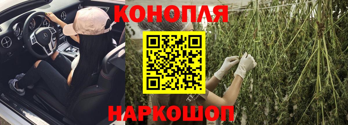 Бошки Шишки ГИДРОПОН  Бошки марихуана White Widow  Балтийск  Канабис планчик  Вход с VPN 